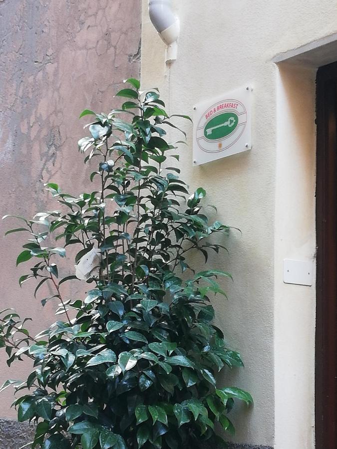 B&B Sotto Le Torri アルベンガ エクステリア 写真